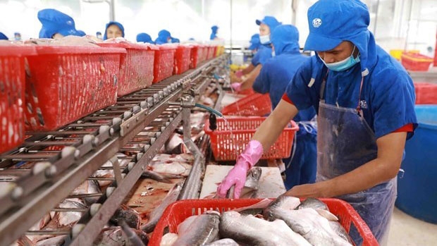 VASEP claims imported seafood regulations inadequate